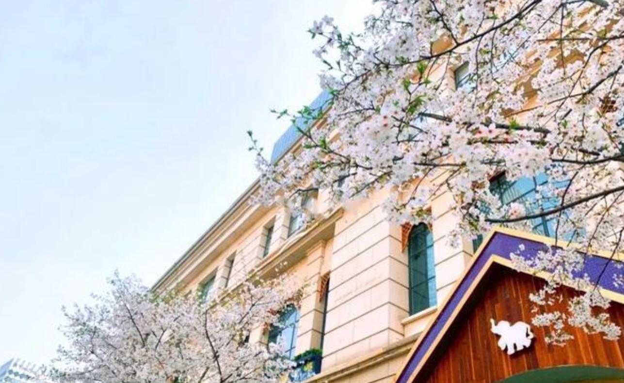 武汉有了烟火气,武汉有烟火气的地方