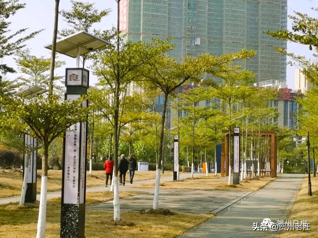 广西贺州免费景区,贺州景区公园