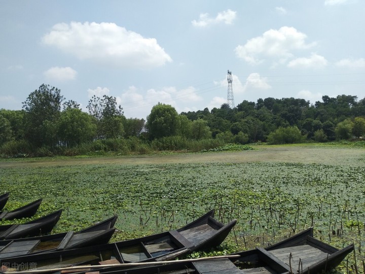 五一自驾游推荐景点武汉,武汉适合周末出游的地方