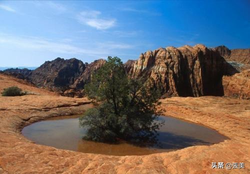 迷失沙漠,迷失在沙漠里怎么办