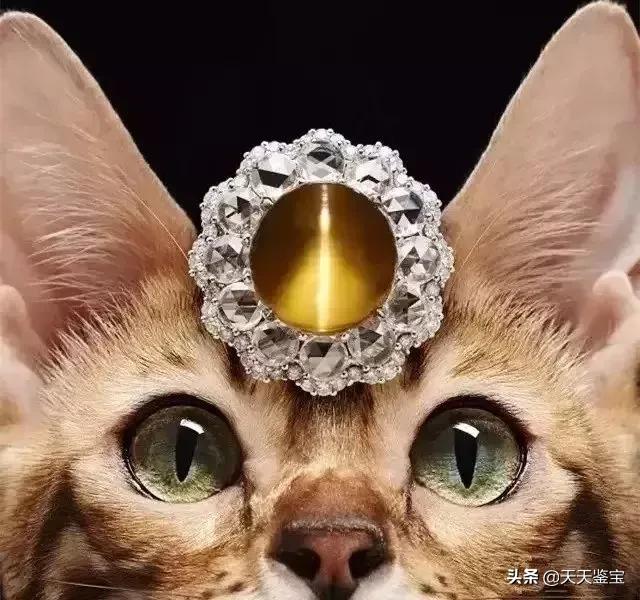 奢华金绿宝石图片大全,最好看的金绿宝石