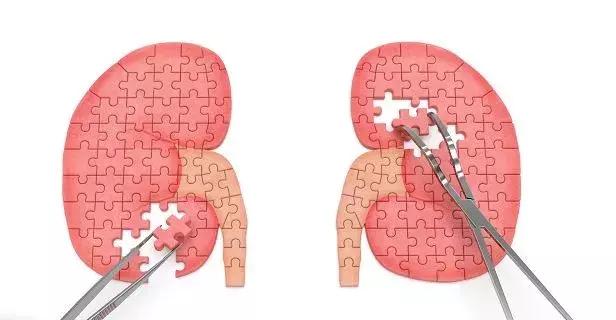 小红书爆火的天价抗糖丸、抗糖液到底有用么？抗糖到底是咋回事？
