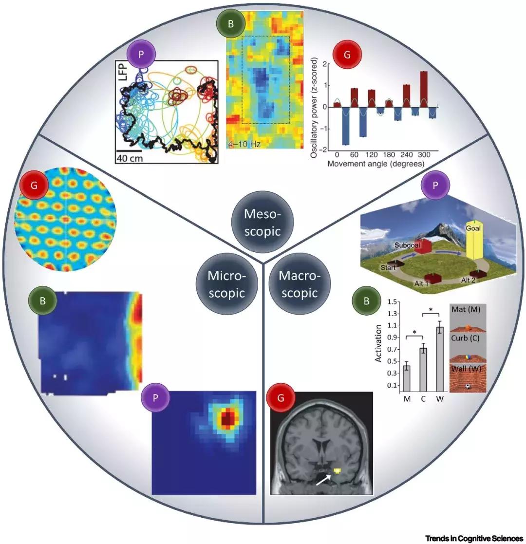 脑科学治疗失眠,脑科学治疗