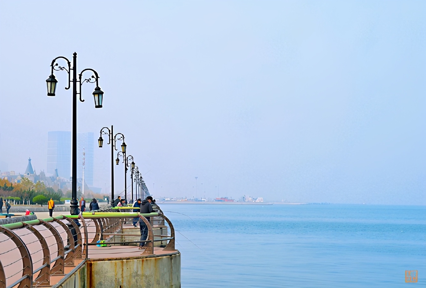不能飞去巴黎伦敦,不如到大连喂鸽子,赏海景吃海鲜