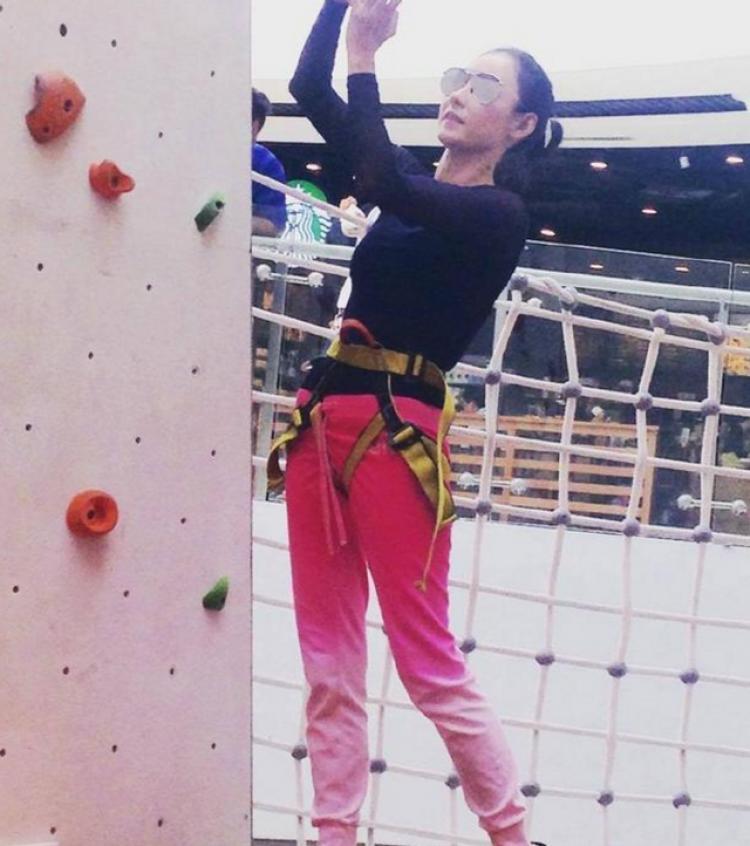 隆鼻张柏芝鼻型,浪姐张柏芝新消息