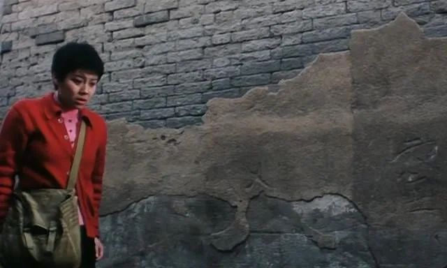 可惜没在中国上映的电影,李冰冰05年电影