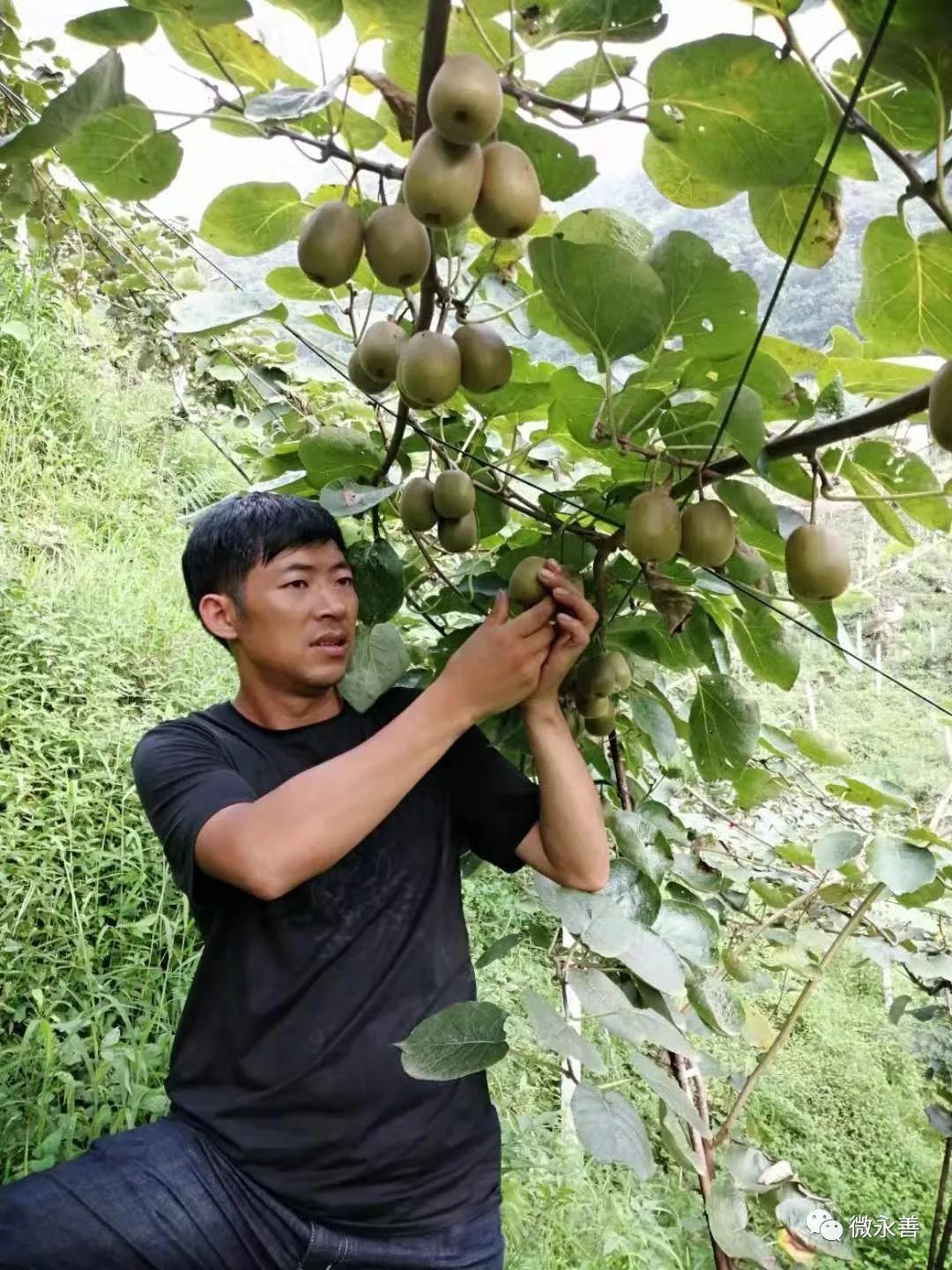 青年*党**员李安元：甘当“车夫”为抗疫奔波