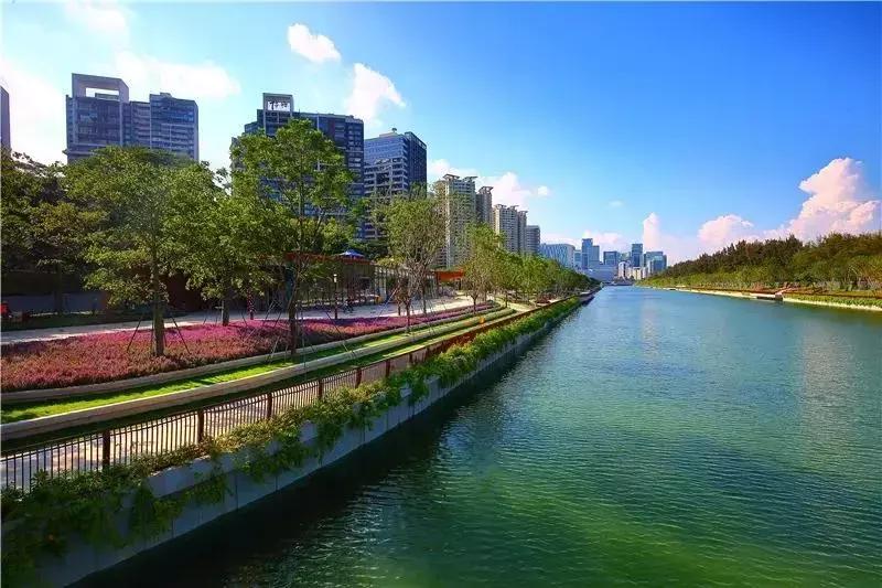 春日赏花深圳,深圳春游赏花