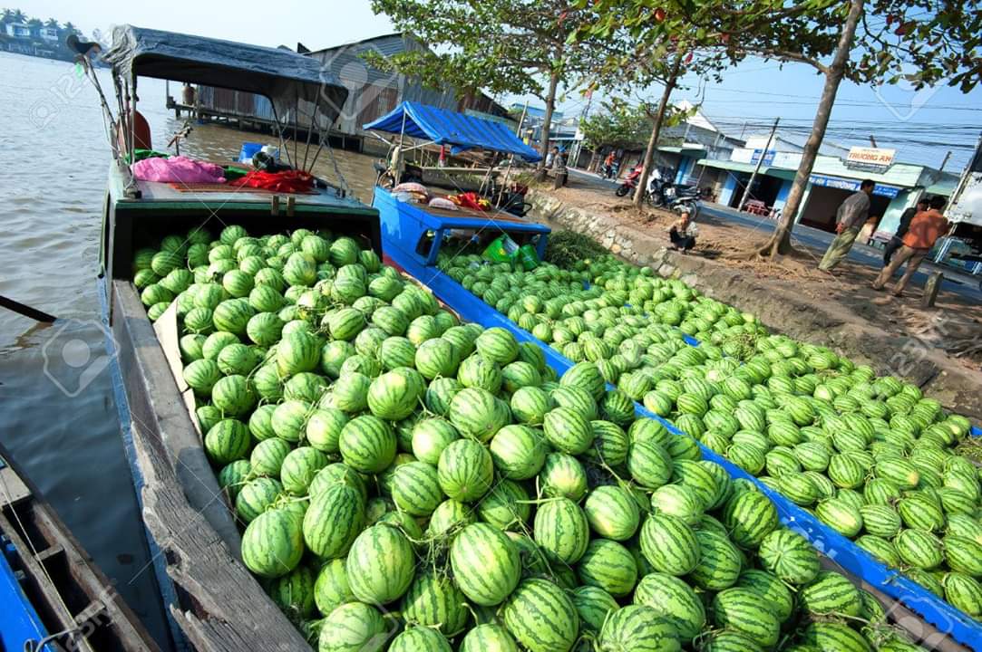 越南芹苴水上活动,越南芹苴水上市场