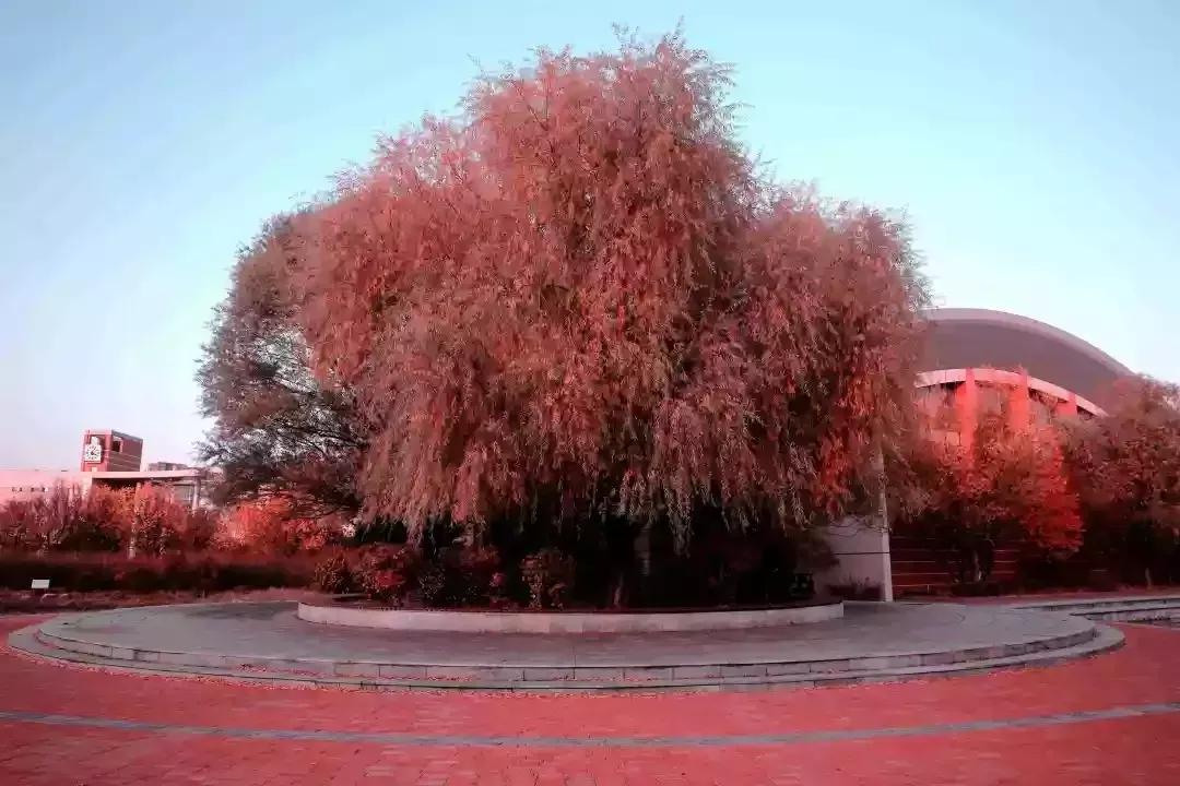 辽宁省普通高等院校（二十五）沈阳工程学院