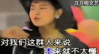 当年红极一时中国组合,红极一时的女子双人组合