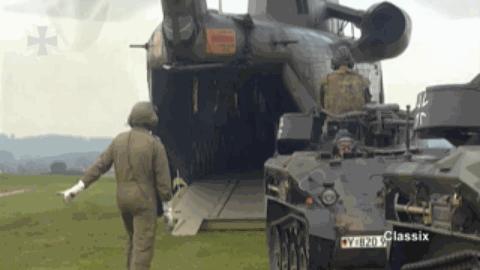 鼬鼠步兵战车,日耳曼鼬鼠坦克