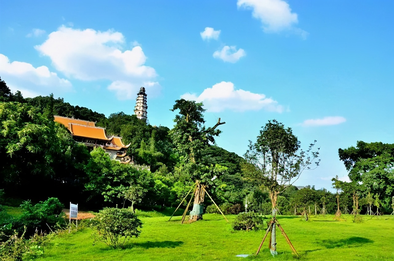 临江大盘，龙湖物业！评测中铁·卓越城，是否真改善？