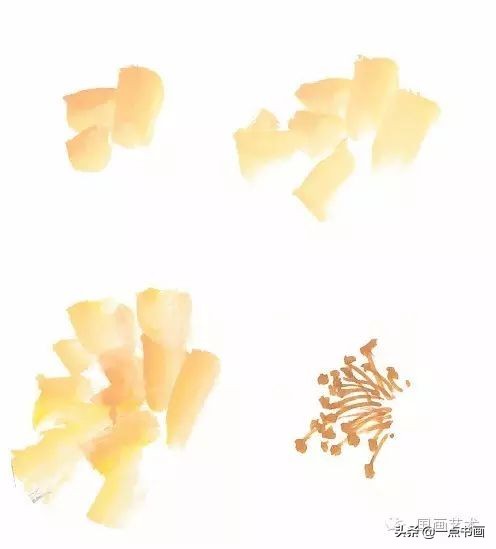 王绣写意牡丹画法步骤,王兮然写意牡丹画法视频大全