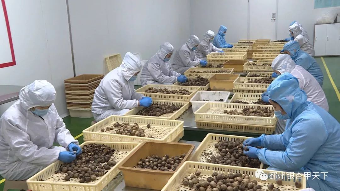 邳州十大名牌排名,邳州百强企业排名