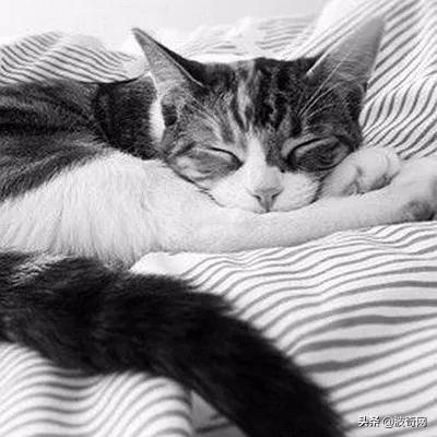 剩茶叶怎么利用,剩茶叶如何取出