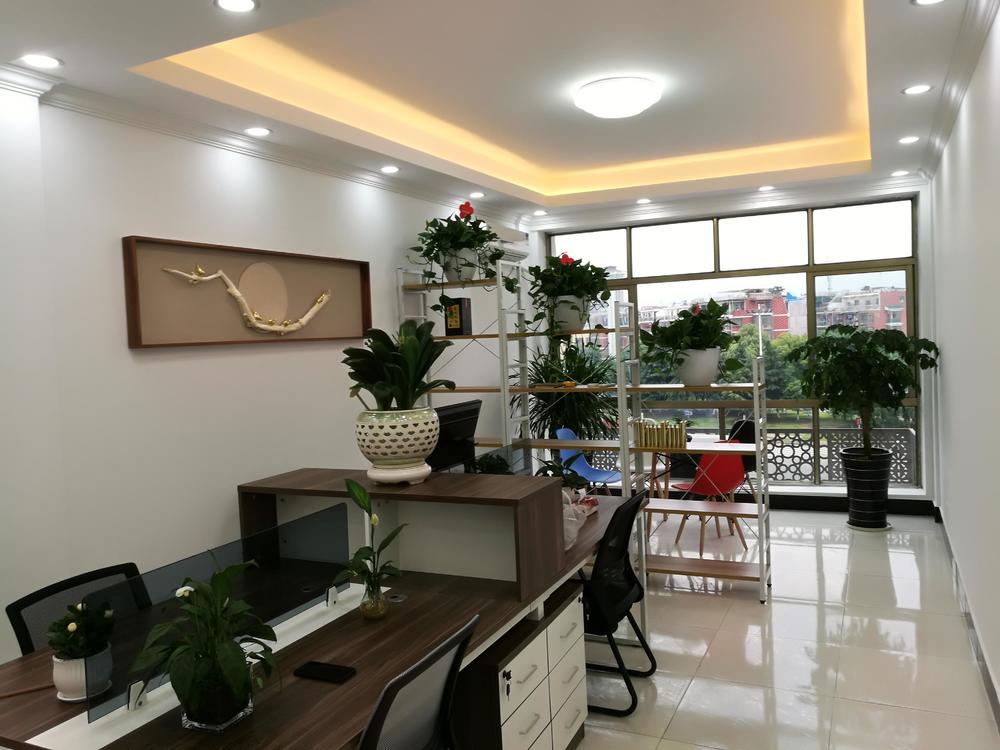 创业公司的生命周期,怎么看创业公司活多久了