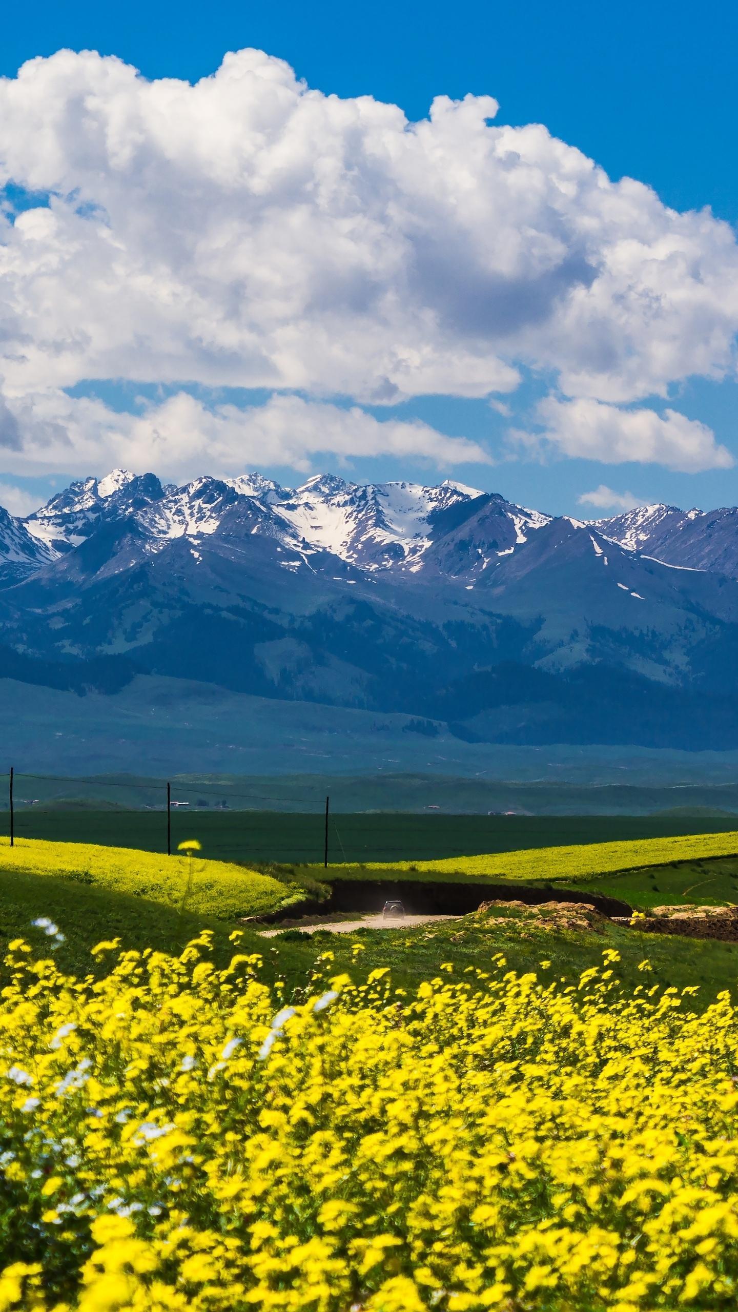 人际关系8个秘诀,人际关系中如何建立人脉