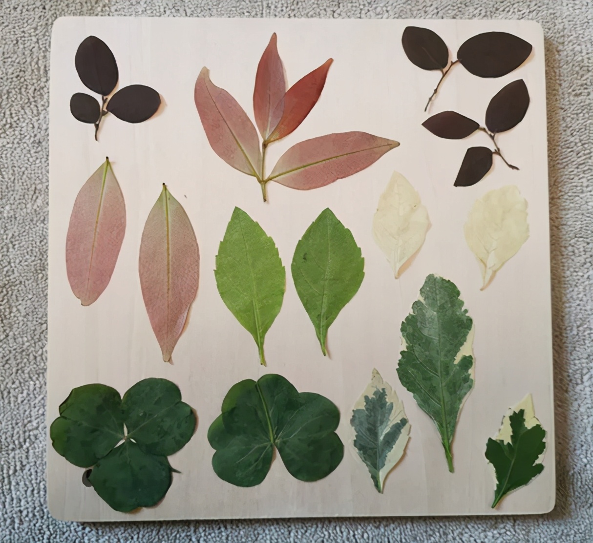 周末在家有什么好玩的亲子游戏,在家也能玩的亲子游戏6-7