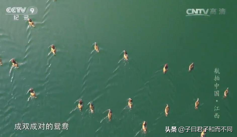 航拍中国江西完整版,航拍中国鄱阳湖