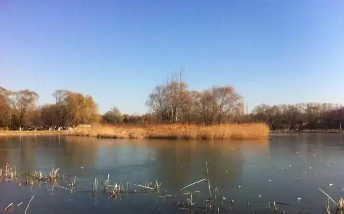 缺钱的症状和危害,缺钱真的很可怕