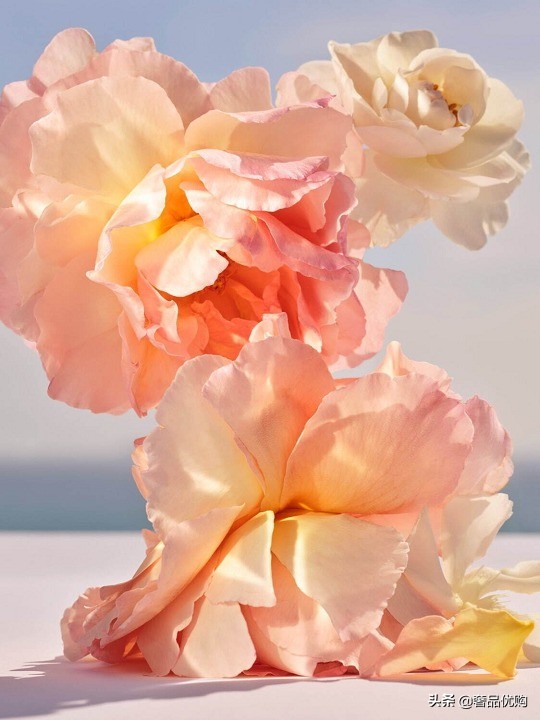 lv全新中性香水系列symphony,lv香水方瓶