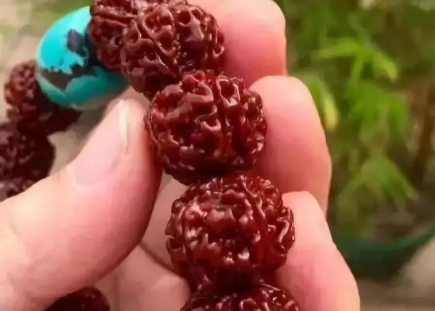 金刚如何快速变红润,金刚如何快速包浆