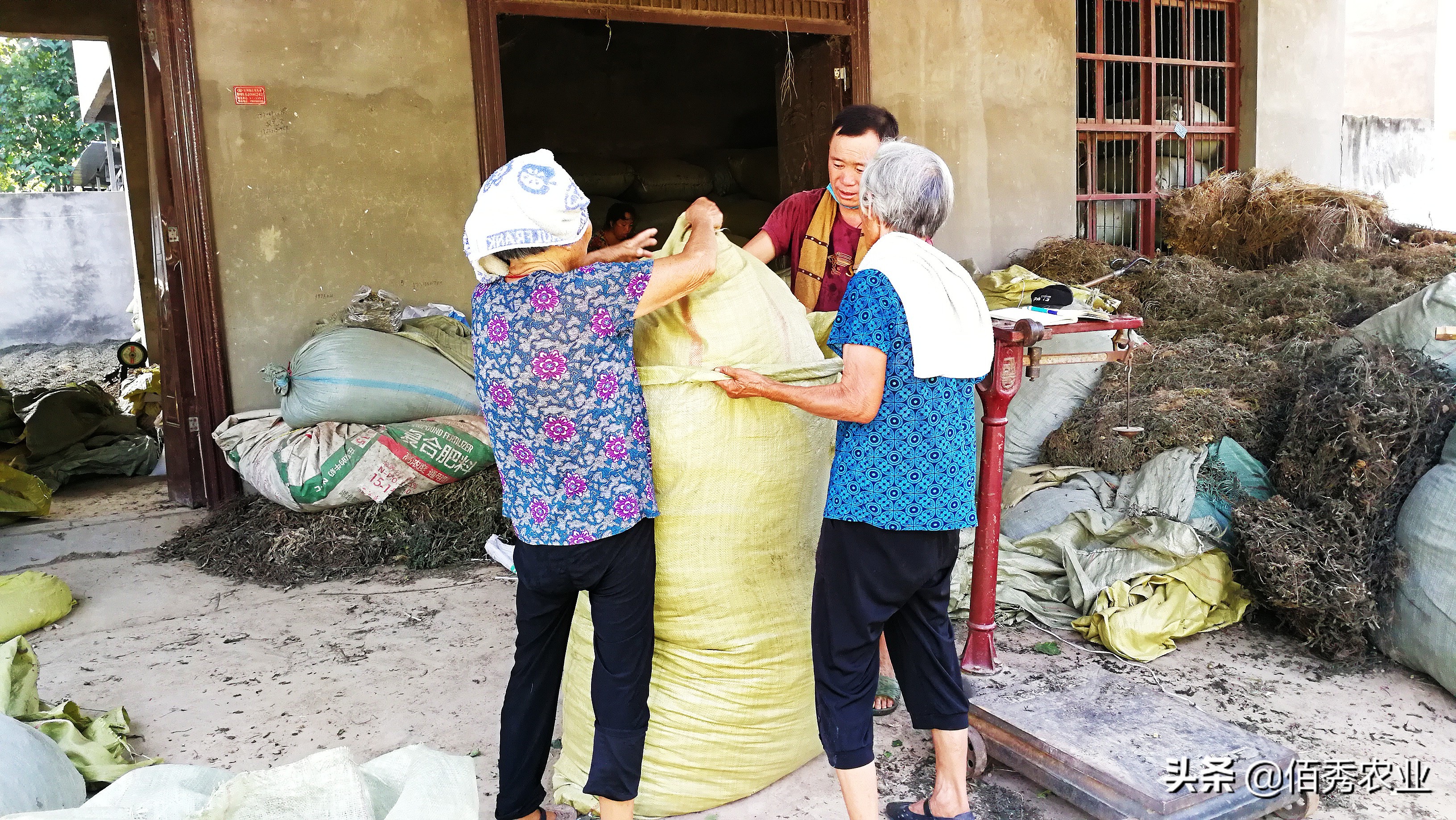 40万在农村能做什么,不想外出打工的农民能干什么