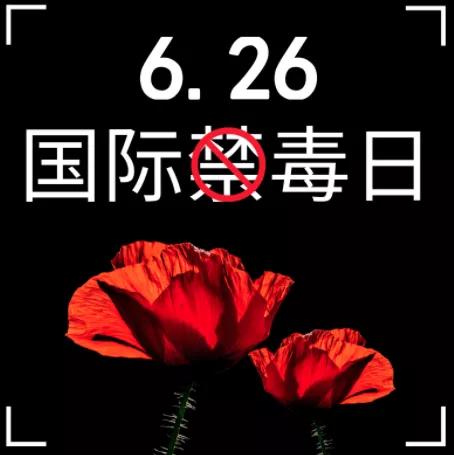 这种毒!学会防!懂得戒