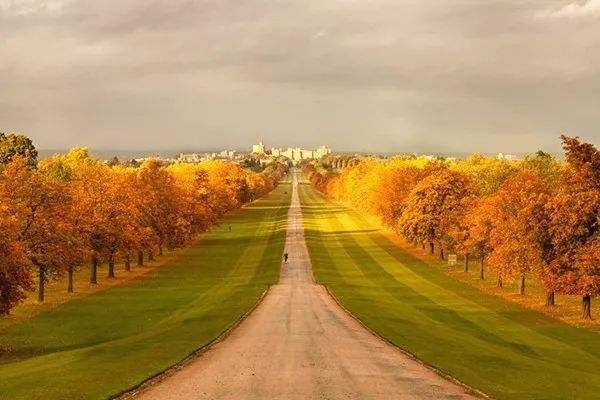 年轻人为什么沉迷保健品,为什么年轻人都沉迷保健品