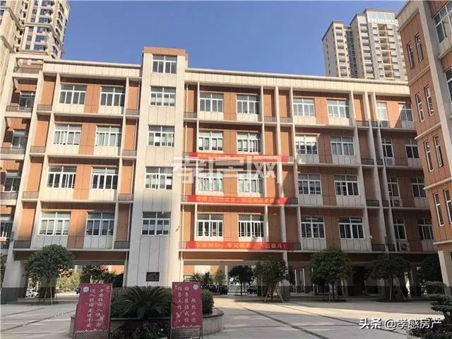 实探城际小学！东城区已招生投用学校