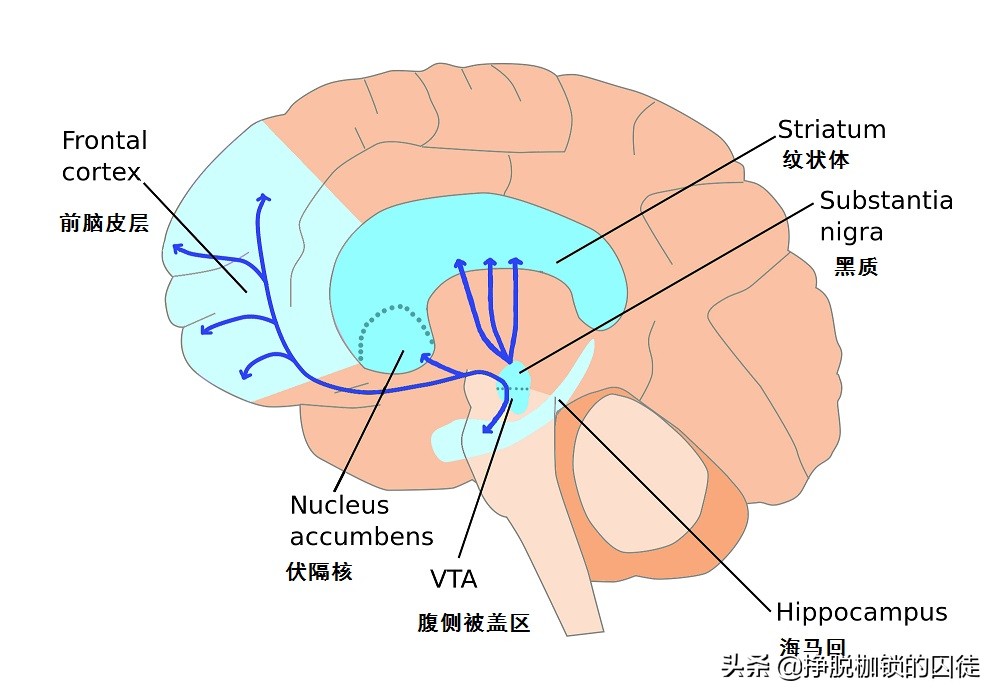 纳洛酮解酒的正确用法是什么,还有比盐酸纳洛酮更好的解酒药吗