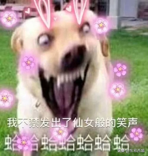 一次不做家务就被骂,不做家务就一定要被骂得很难听