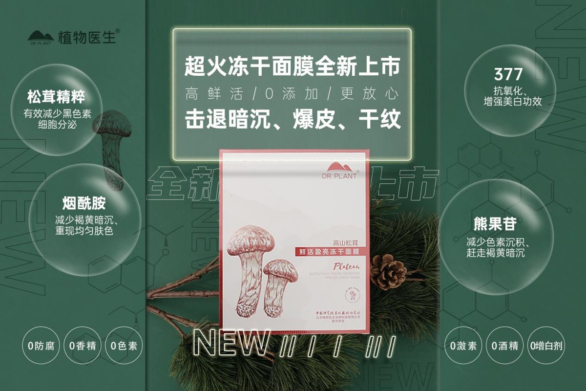 松茸在日本的神菌,高山松茸植物医生怎么用