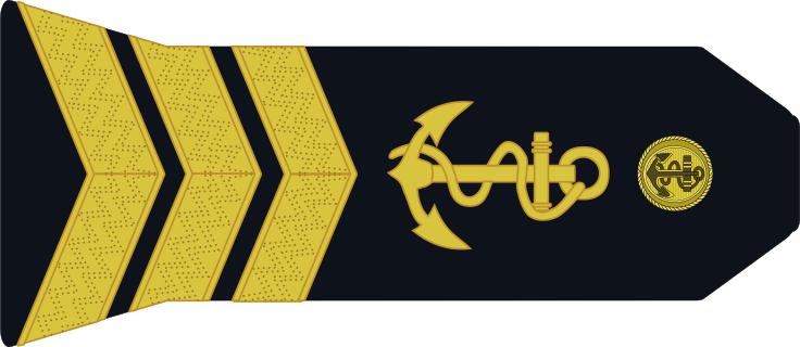 法国将军军衔等级,法国上校是什么军衔