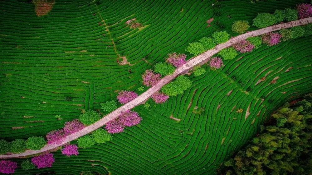 如果2月可以畅快出行,我真想走遍国内这9个地方