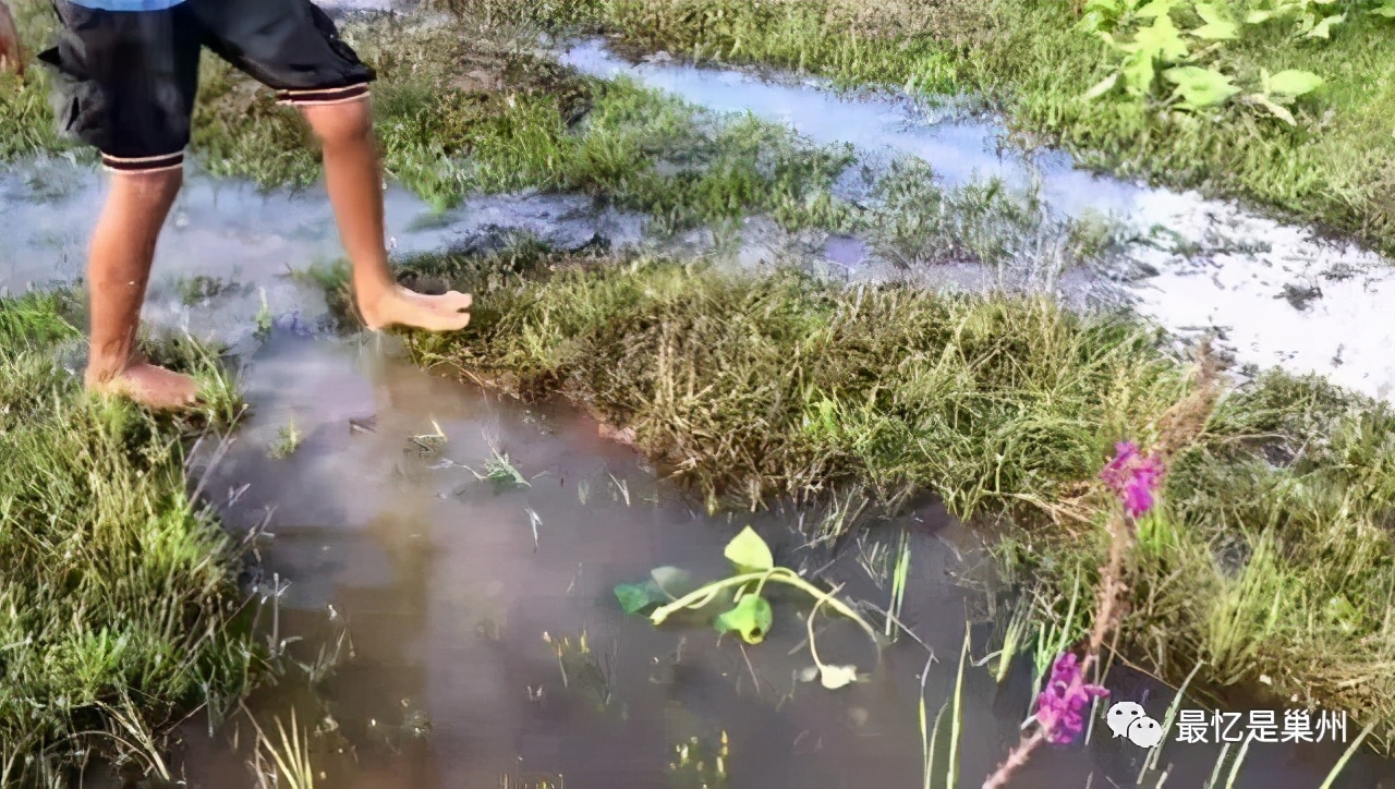 老家巢湖过年记,老家巢湖记