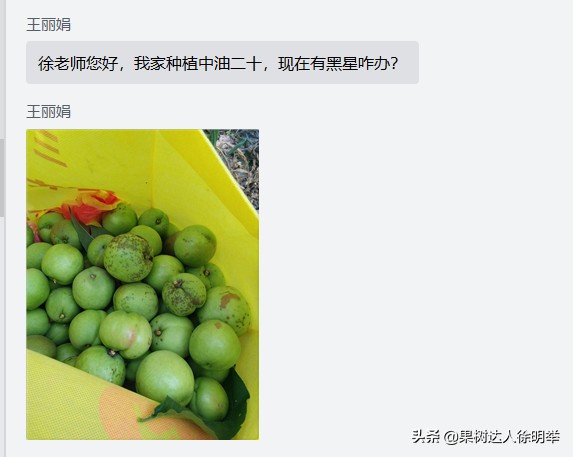 油桃黑点是什么,油桃外面黑点不长个