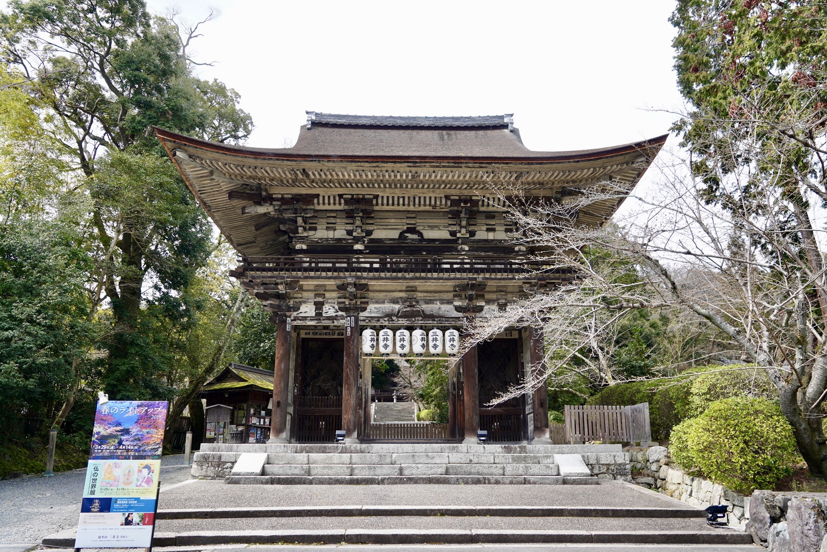 2019日本赏樱最新攻略|大津小众路线私家推荐