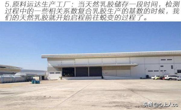 真乳胶枕和假乳胶怎么辨别,怎么区分天然乳胶枕和海绵枕头