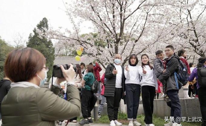 樱花感人瞬间,2020年武汉感动人瞬间