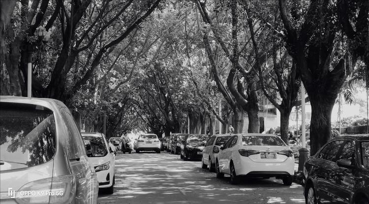 oppok9pro最新评测,oppok9pro测评最新