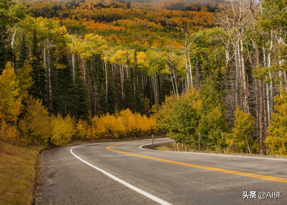 美国各州最富有的镇,美国所有城市最富的是哪个城市