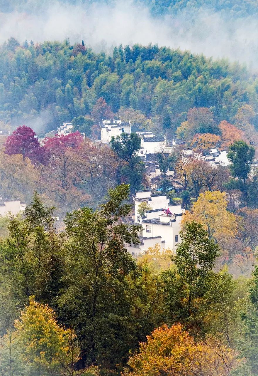 安徽最容易被忽视的地方,安徽低调吗