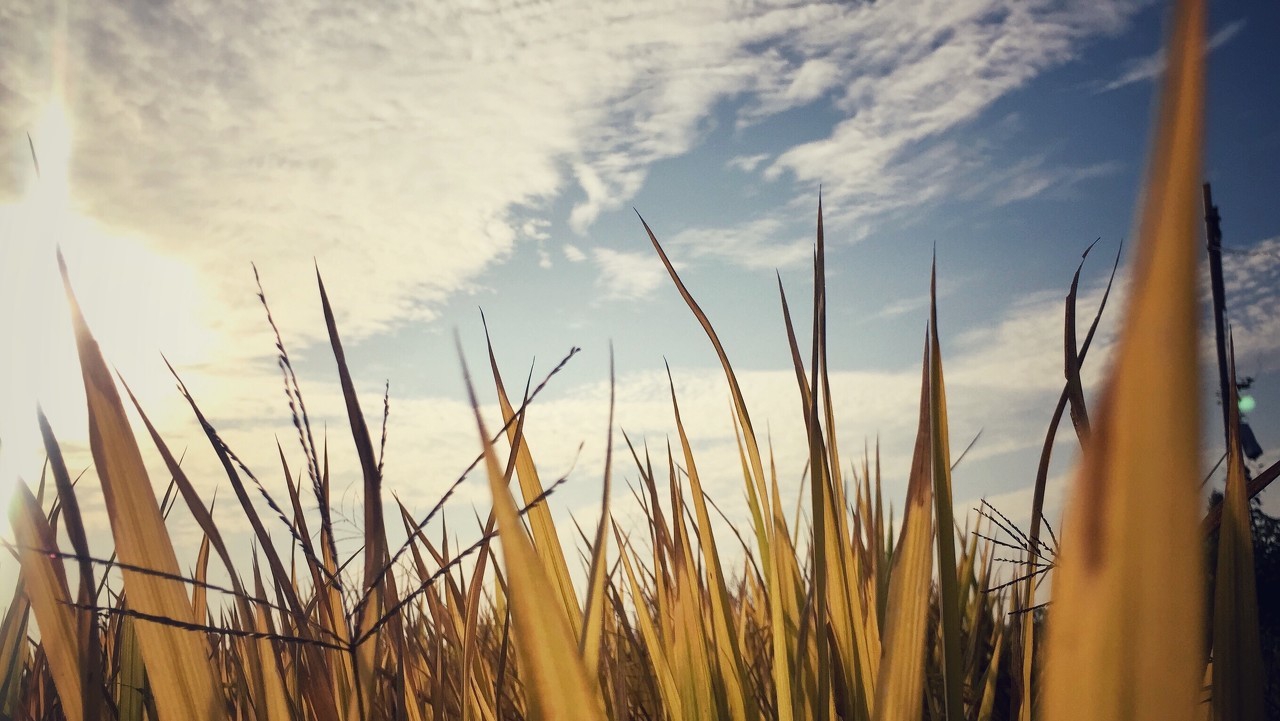 恒指期货交易实战,恒指期货李阳教学视频