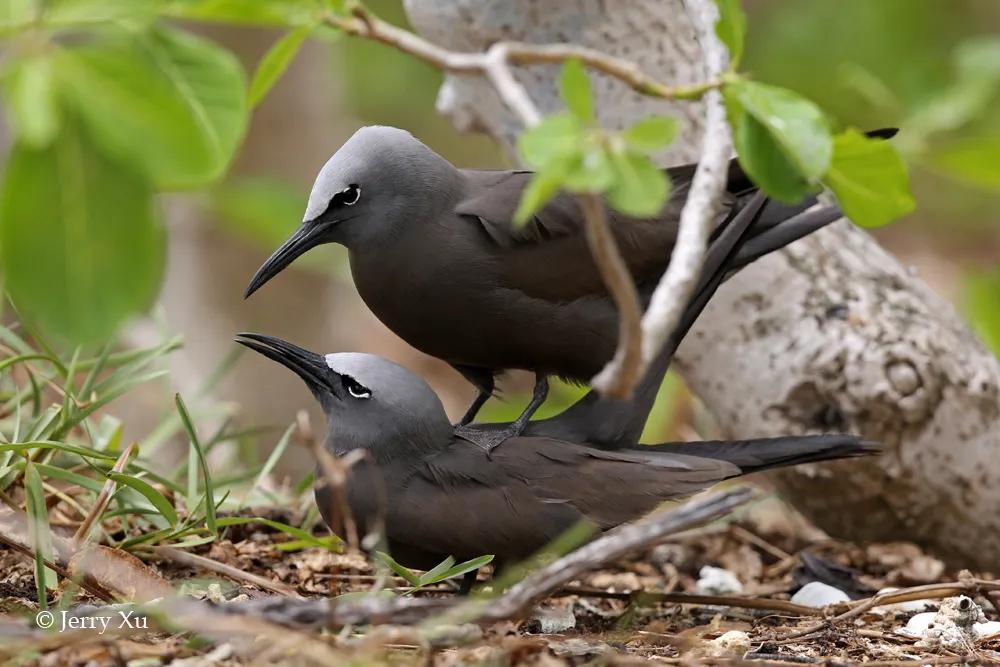 情人节,就该和爱的人*爱做**做的事