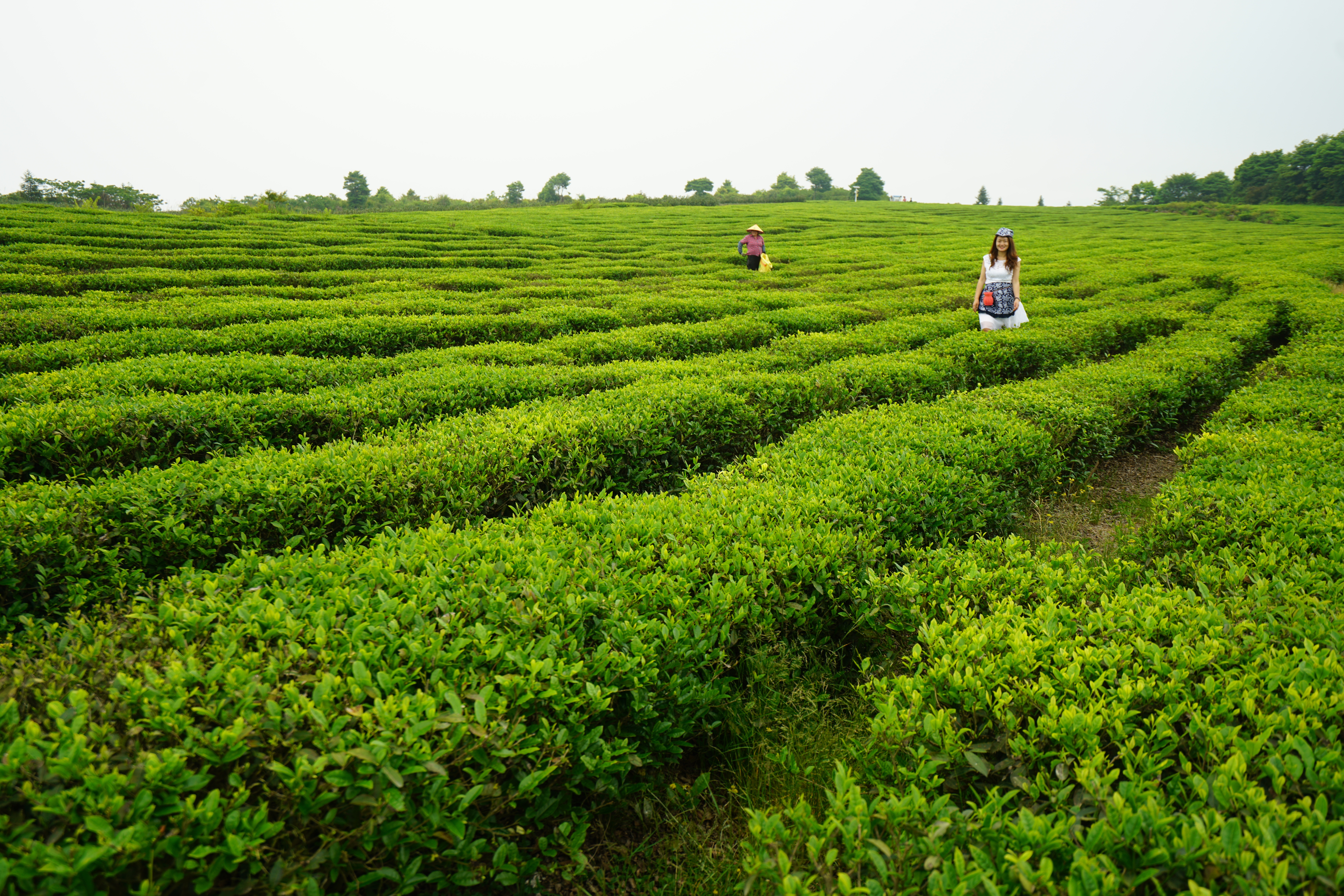 温州楠溪江很美的,温州楠溪江什么时候最美