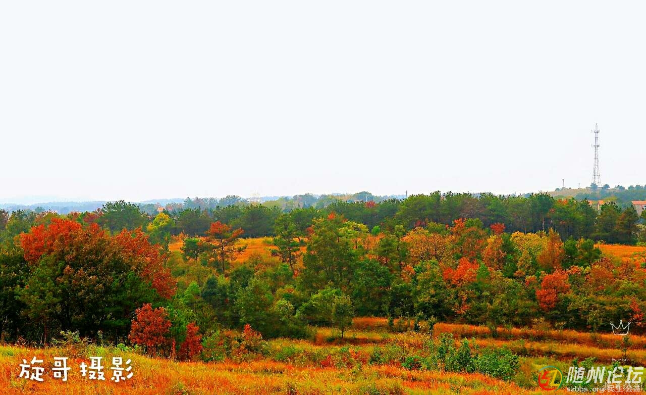 李白静夜思在哪个地方作诗,李白的梦游天姥吟留别的时代背景