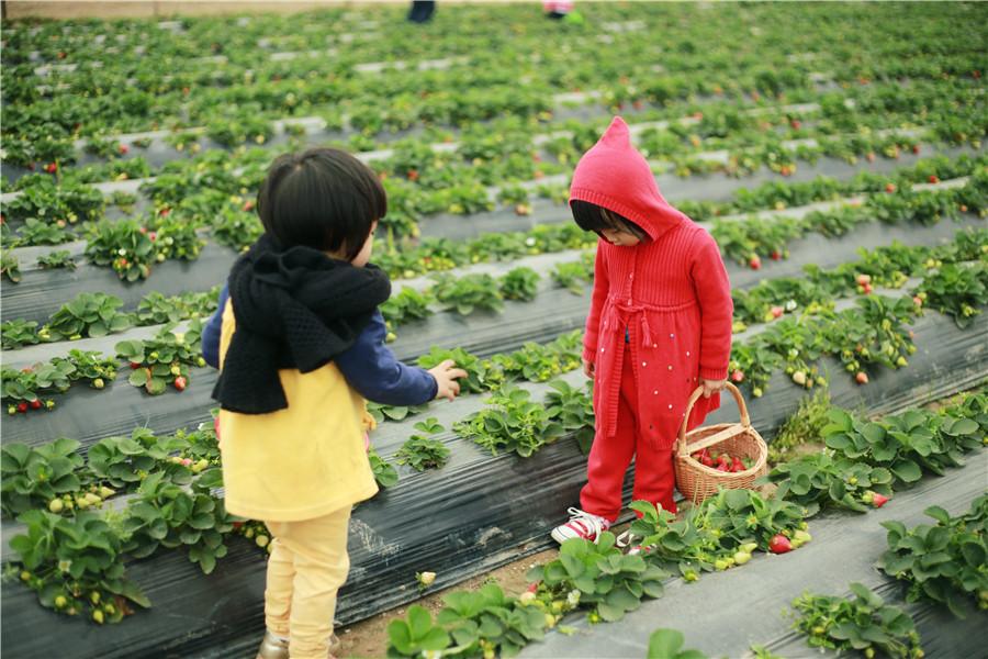四月份吃西瓜为啥拉肚子,回老家吃东西拉肚子