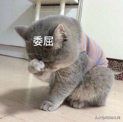 m4v转换mp4最简单方法,将m4v的视频转换为mp4格式